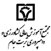 undraw-business