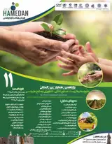 پوستر کنفرانس