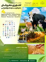 پوستر کنفرانس
