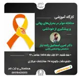 کارگاه آموزشی مداخله موثر در بحران های روانی و پیشگیری از خودکشی