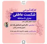 کارگاه آموزشی شکیت عاطفی، بحران تا مداخله