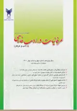 مجله عرفانیات در ادب فارسی