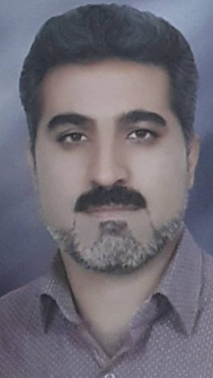 محمد رضایی مفرد