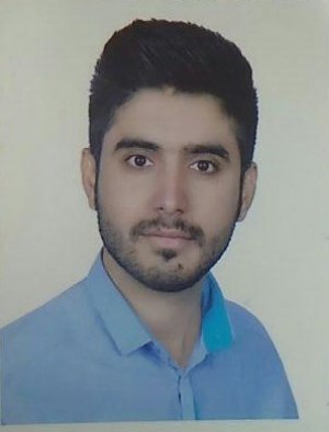 حمید ضامنی