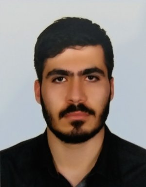 محمد جوادی