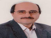 سید محمد روضاتی