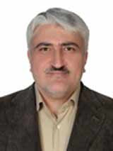 سید امیر سعید محمودی