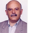 سید ضیاءالدین شافعی
