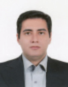 وحید شاه حسینی