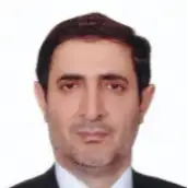 سیدحسن امامی رضوی