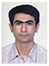 محمدرضا امیر اسماعیلی