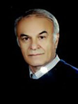 سید محمد مهدی هزاوه ای