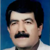 محمود هوشمند