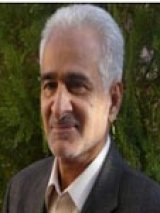 محمود سلوکی
