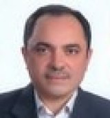 سید حسام نجیبی