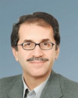 محمدرضا چمنی