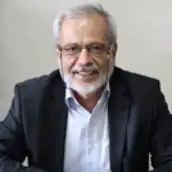 علی محمد ولوی