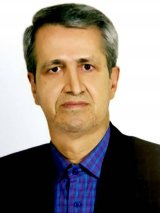 سیدحسین افضلی