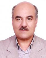ولی ربیعی
