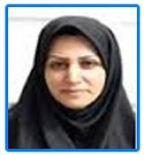 مینو باسامی