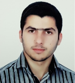 رضا شیخ