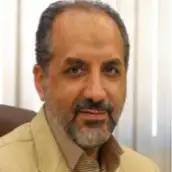 سید مهران نحوی
