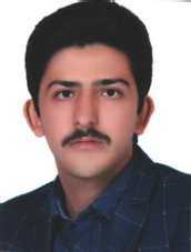 محمد مهدی عابدی