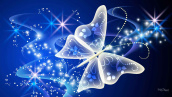 آیلار ملکی