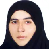 فروغ ابراهیمی