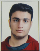 حسین گلشنی