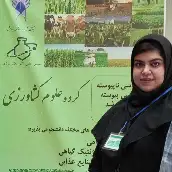 فاطمه حسینی طباطبایی