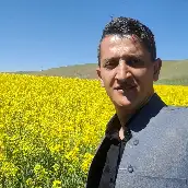 علی نیازی دانشگاه کردستان