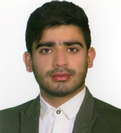 فردین فروغی سوها