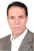 محمدحسین حبیبی