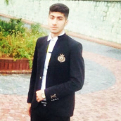 حسن محمدی