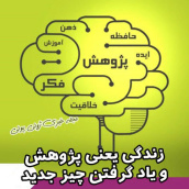 عاطفه محمودی