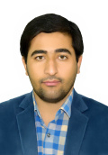 دکتر سید محمد مهدی برزگر