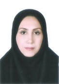 مریم رضایی آذین