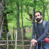 محمد طارمی