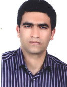 وحید رضاوردی نژاد