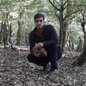 مهرداد میرزایی