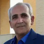 محمود فیروزی مقدم