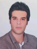 میر امین تاج زاده