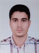 سالار مرادپور