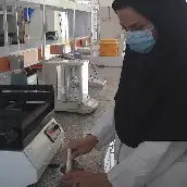 خاتون بهزاد