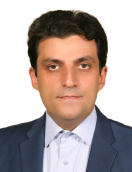 سید حمید رضا آقامیری
