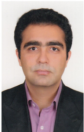 سیدحسام مدنی