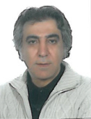 مرتضی بابک معین