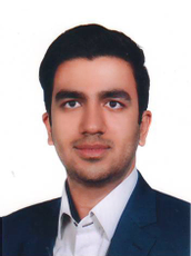 حسن حسین زاده