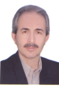 ابوالحسن مبین
